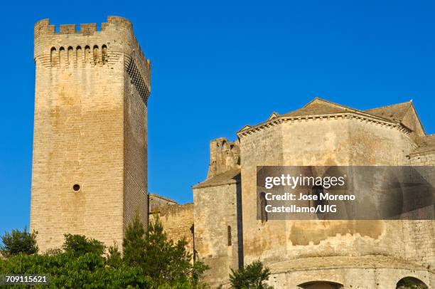 montmajour abbey near arles, provence, france - abbey of montmajour stock pictures, royalty-free photos & images