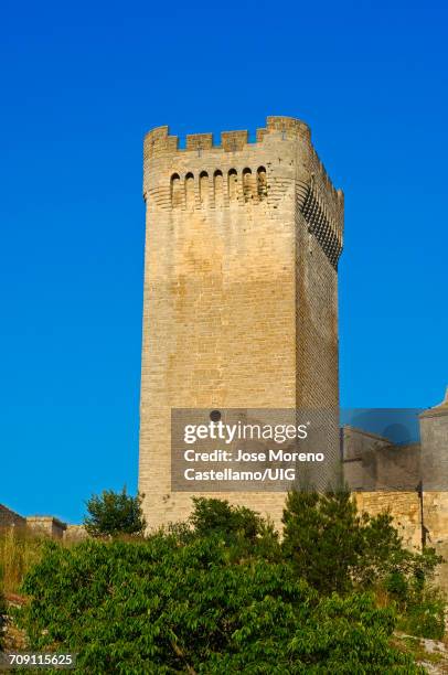 montmajour abbey near arles, provence, france - abbey of montmajour stock pictures, royalty-free photos & images