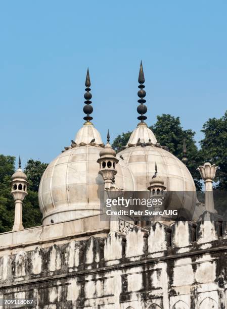red fort, old delhi - moti masjid mosque stock pictures, royalty-free photos & images