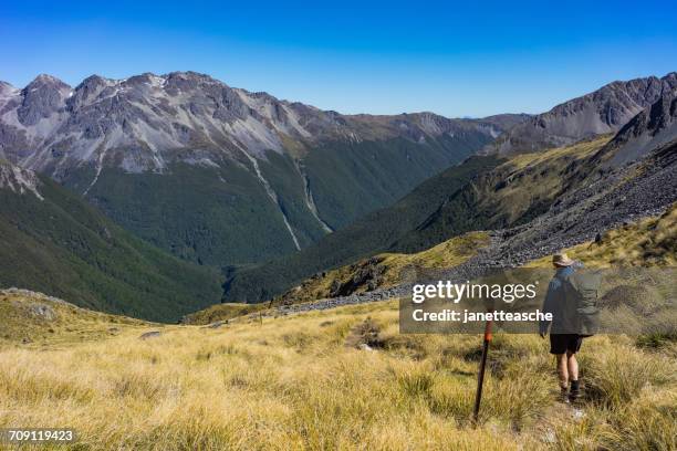 man hiking over the travers saddle, nelson lakes, national park, new zealand - nelson lakes national park stock pictures, royalty-free photos & images