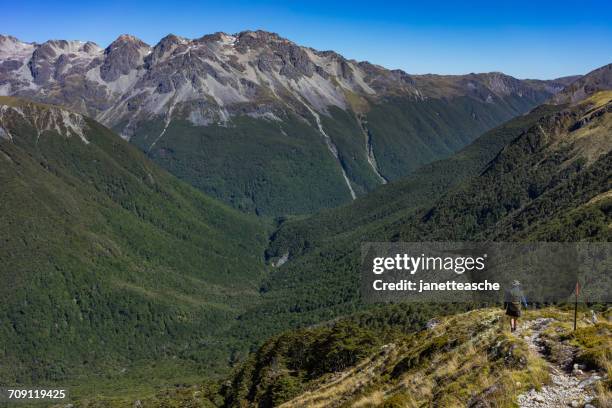 man hiking into the sabine river valley, nelson lakes, national park, new zealand - nelson lakes national park stock pictures, royalty-free photos & images