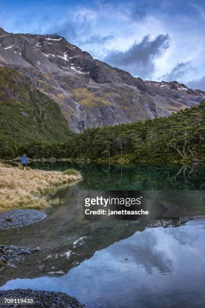 man hiking by blue lake,  nelson lakes national park, new zealand - nelson lakes national park stock pictures, royalty-free photos & images