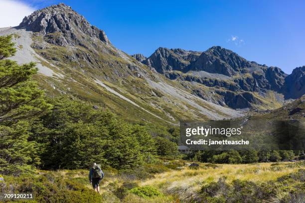 man hiking, upper travers valley, nelson lakes national park, new zealand - nelson lakes national park stock pictures, royalty-free photos & images