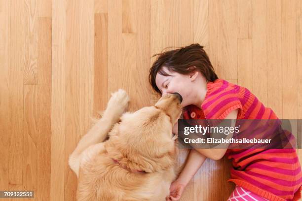 overhead view of golden retriever dog licking girl's face. - dog licking girls stock pictures, royalty-free photos & images