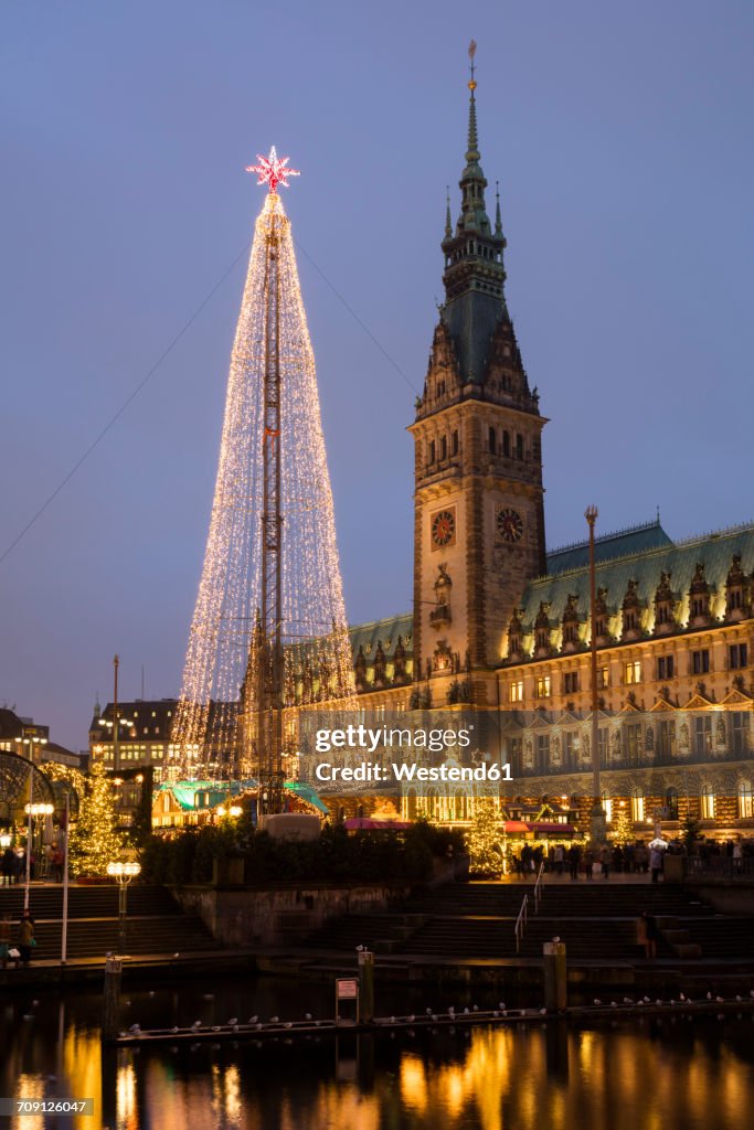Germany, Hamburg, steel Christmas tree at market in front of illuminated town hall