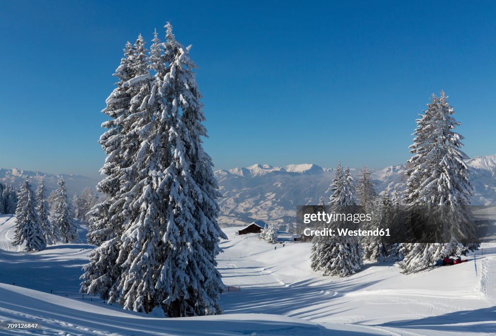 Austria, St Johann im Pongau, snow-covered winter landscape