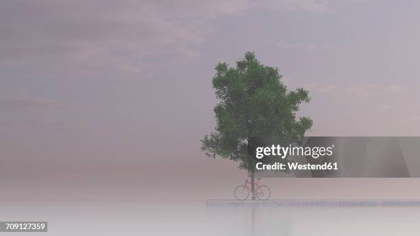 racing cycle leaning against maple tree, 3d rendering - single tree stock illustrations