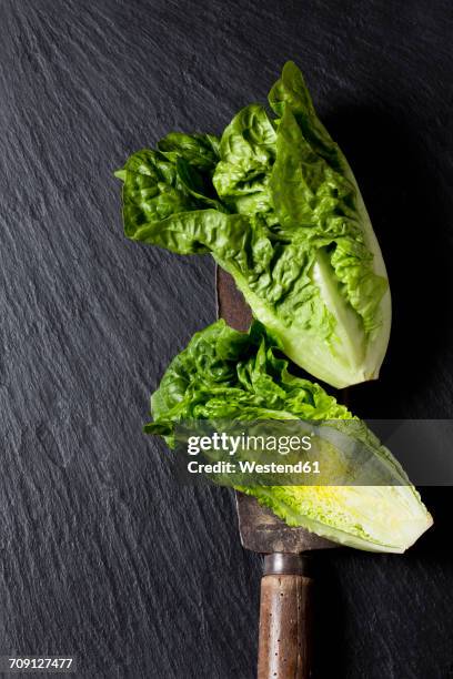 whole and sliced romaine lettuce and an old knife on slate - schist stock-fotos und bilder