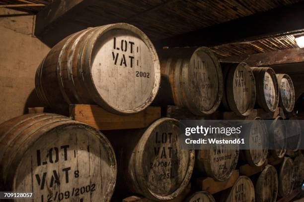 old wooden barrels at a whisky distillery - whisky distillery stock-fotos und bilder
