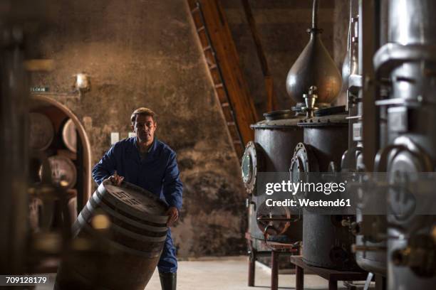 worker working in distillery - whisky photos et images de collection