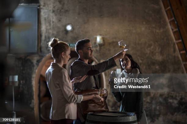 people in distillery tasing whiskey - whiskey stock pictures, royalty-free photos & images