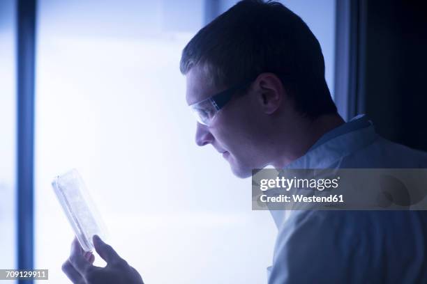 lab technician examining sample - scientist profile stock pictures, royalty-free photos & images