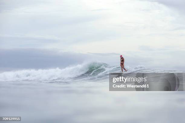 indonesia, bali, woman wearing santa hat surfing on a wave - surfing santa stock pictures, royalty-free photos & images