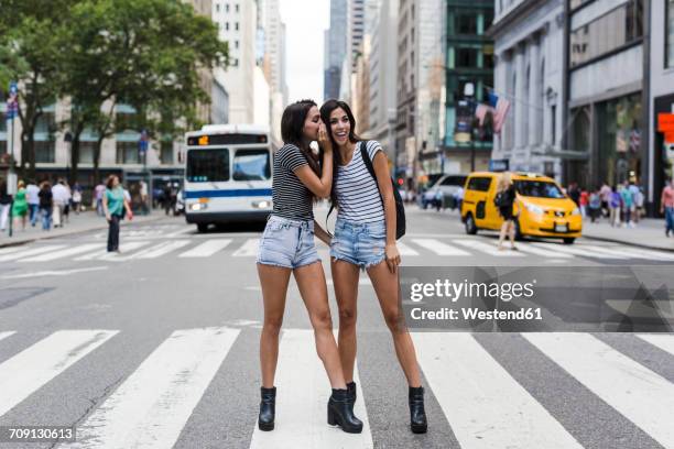 usa, new york city, two twin sisters talking on zebra crossing in manhattan - striped shorts stock pictures, royalty-free photos & images