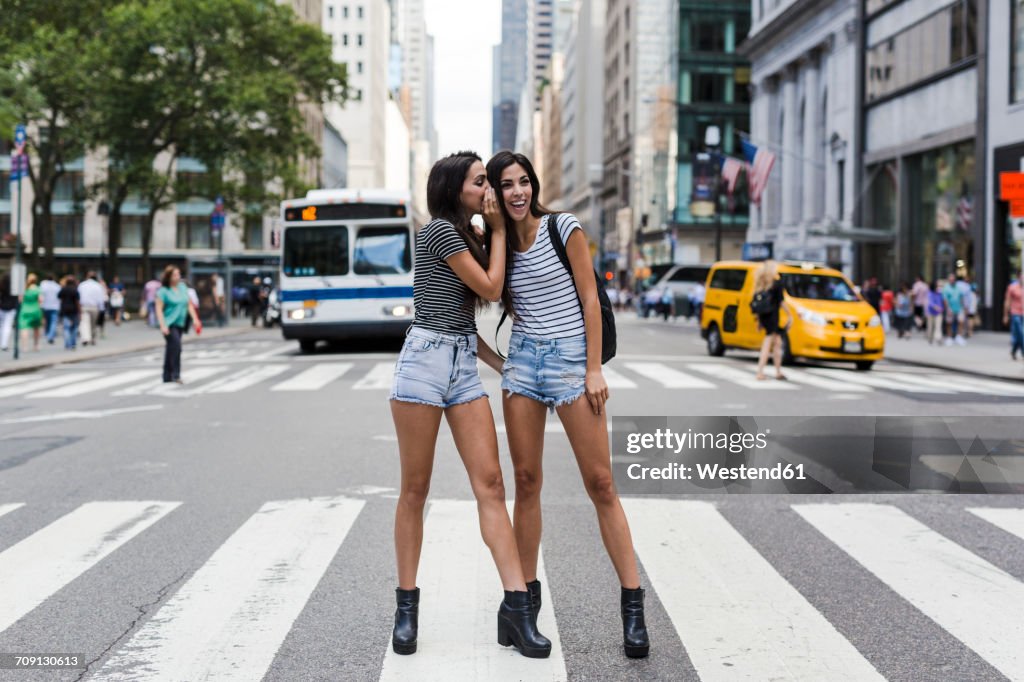 USA, New York City, two twin sisters talking on zebra crossing in Manhattan