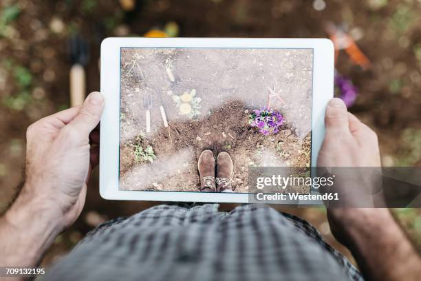 man taking photographs with a tablet of flowers planted in garden - pov shoes ストックフォトと画像