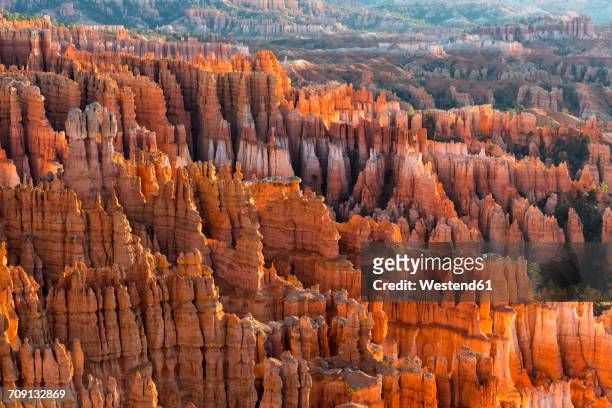 usa, utah, bryce canyon national park, hoodoos in amphitheater as seen from rim trail - amphitheater stock pictures, royalty-free photos & images