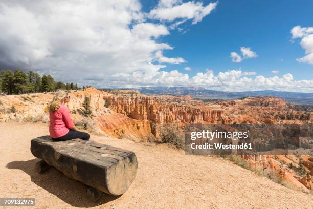 usa, utah, bryce canyon national park, tourist looking at hoodoos in amphitheater at rim trail - bryce canyon stock pictures, royalty-free photos & images