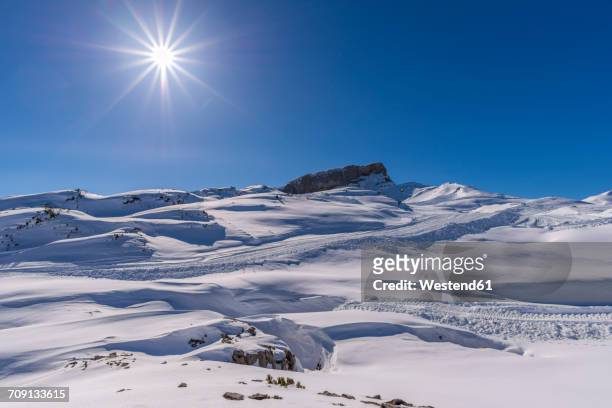 allgaeu alps, austrian-german border, gottesacker and hoher ifen in backlight - neve profunda imagens e fotografias de stock