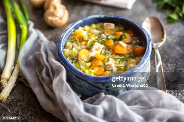chicken soup with leek, carrots, noodles, spring onions, champignons and parsley - bouillon de volaille photos et images de collection