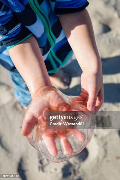 boy holding jellyfish in his hand - beach denmark stock pictures, royalty-free photos & images