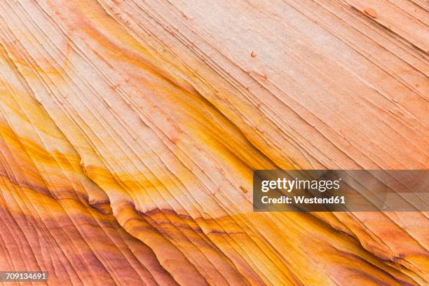 usa, arizona, page, paria canyon, vermillion cliffs wilderness, coyote buttes, structures in sandstone - geology layers stock pictures, royalty-free photos & images