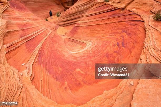 usa, arizona, page, paria canyon, vermillion cliffs wilderness, coyote buttes, tourist in a small canyon - vermilion cliffs imagens e fotografias de stock