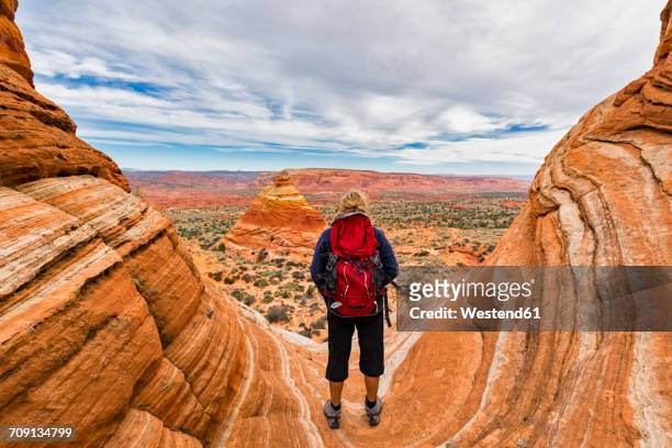 usa, arizona, page, paria canyon, vermillion cliffs wilderness, coyote buttes, tourist enjoying the view on red stone pyramids and buttes - holiday tourist usa stock-fotos und bilder
