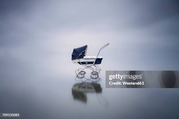 stroller in a lake - kinderwagen stockfoto's en -beelden