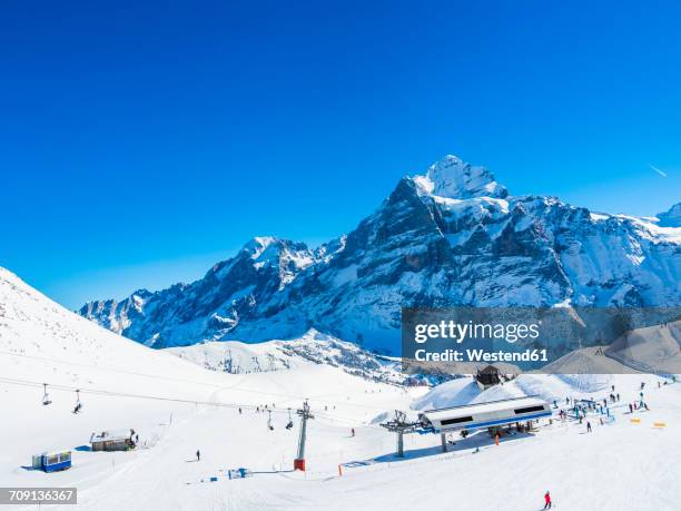 switzerland, canton of bern, grindelwald, view from first to schreckhorn and wetterhorn and ski slope - grindelwald switzerland stock pictures, royalty-free photos & images