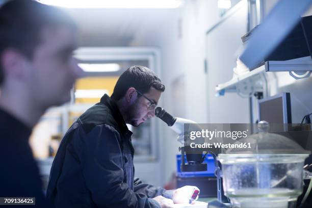 Microscope Man Man Microscope Photos and Premium High Res Pictures - Getty Images