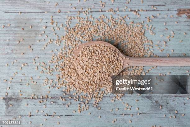 wooden spoon and sesame seeds on wood - sesame stock pictures, royalty-free photos & images