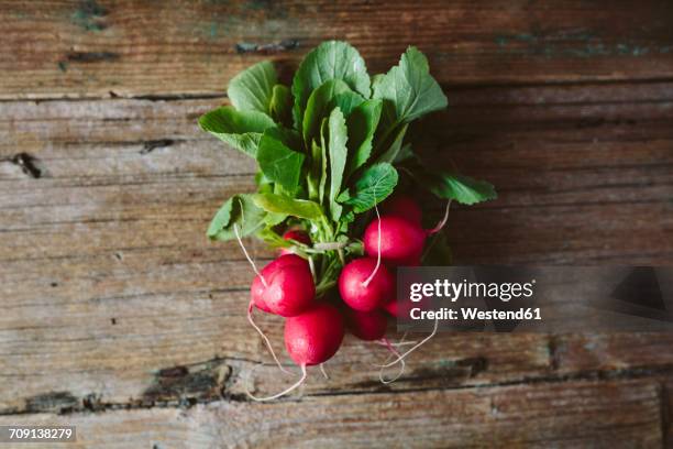 bunch of red radishes on wood - radijs stockfoto's en -beelden