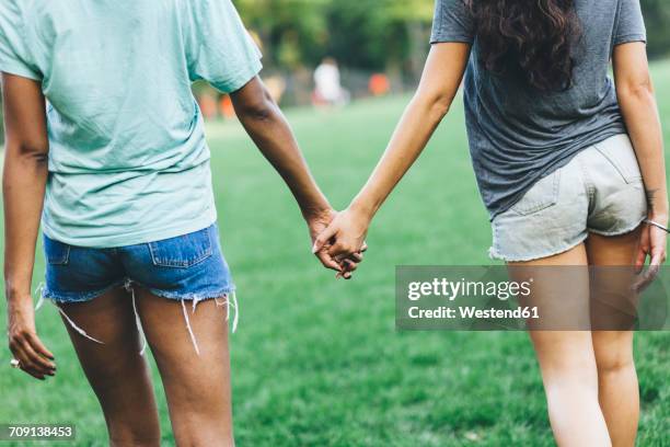back view of two women holding hands in a park - buttocks gay stock-fotos und bilder