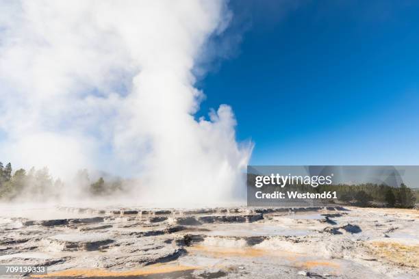 usa, wyoming, yellowstone national park, lower geyser basin, firehole lake drive, great fountain geyser - great fountain geyser stock pictures, royalty-free photos & images