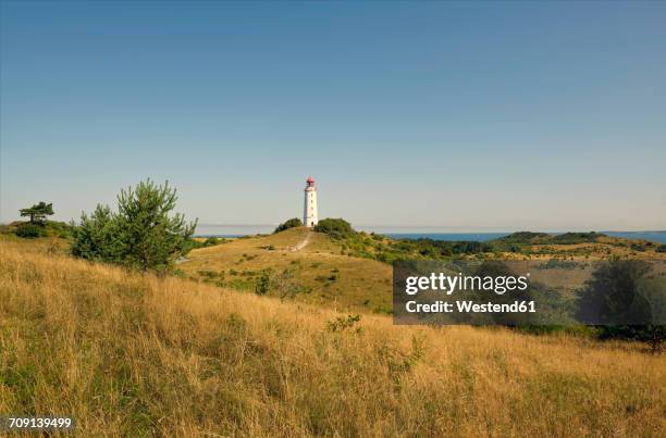 germany, hiddensee, dornbusch, view to landscape and lighthouse - lighthouse rolling landscape foto e immagini stock