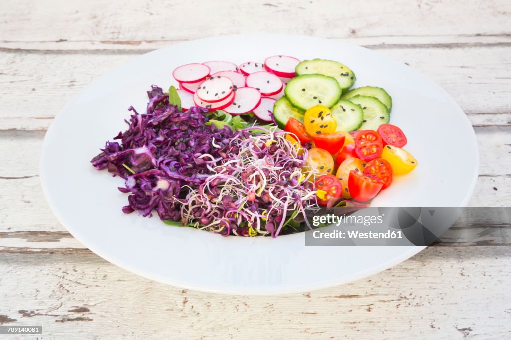 Plate of organic leaf salad, red cabbage, tomatoes, cucumber and radish sprouts