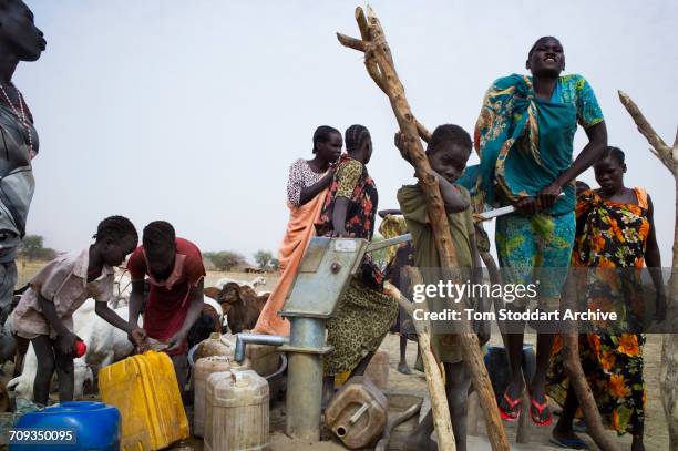 Women and children collect water at Wengoth village in Pariang County in Unity State, South Sudan where the International Committee of the Red Cross...