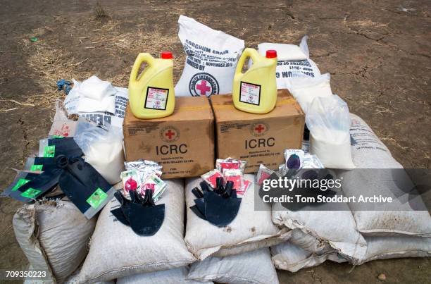 Scene in Abathok village during an International Committee of the Red Cross distribution of seeds, agricultural tools and food staples to households...