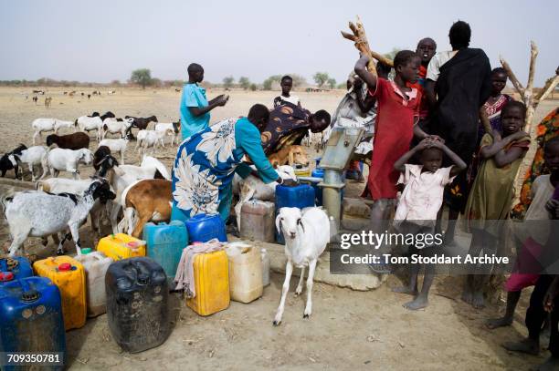 Women and children collect water at Wengoth village in Pariang County in Unity State, South Sudan where the International Committee of the Red Cross...