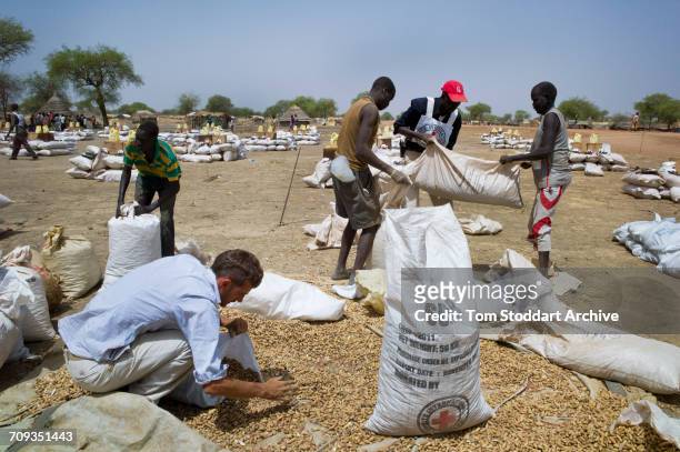 Scene in Abathok village during an International Committee of the Red Cross distribution of seeds, agricultural tools and food staples to households...