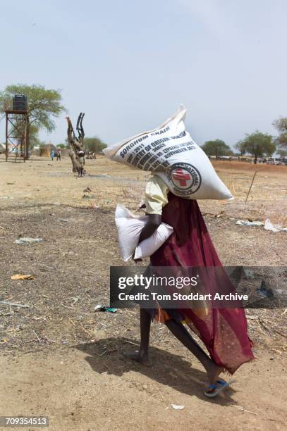 Woman carries bags home during an International Committee of the Red Cross distribution of seeds, agricultural tools and food staples to households...