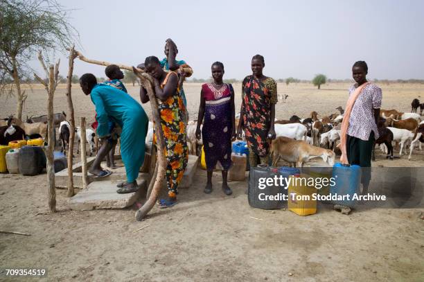 Women and children collect water at Wengoth village in Pariang County in Unity State, South Sudan where the International Committee of the Red Cross...