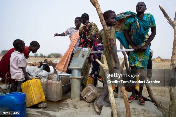 Women and children collect water at Wengoth village in Pariang County in Unity State, South Sudan where the International Committee of the Red Cross...