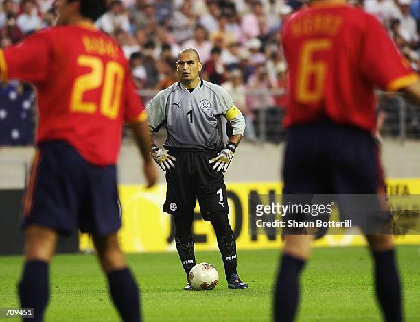 Goalkeeper Jose Luis Chilavert of Paraguay prepares to take a free-kick during the FIFA World Cup Finals 2002 Group B match between Spain and...