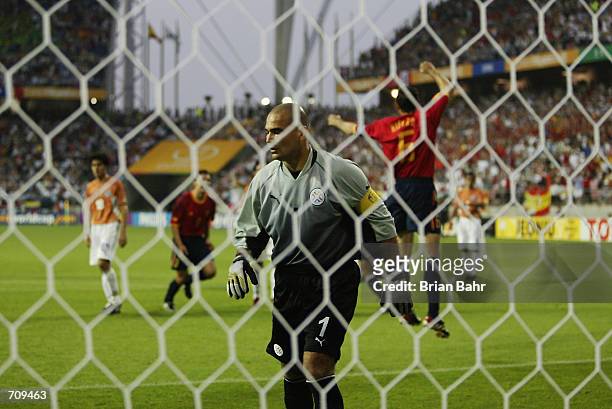 Jose Luis Chilavert of Paraguay turns away in disgust after letting in the third goal during the FIFA World Cup Finals 2002 Group B match between...