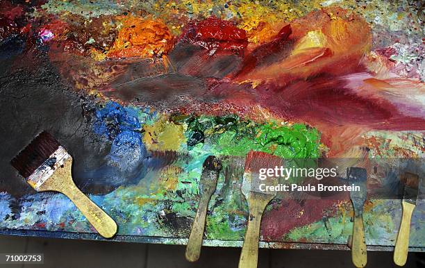 Rainbow of oil paint and brushes lie next to a painting as the artist takes a break at the Dafen Oil Painting Village on May 19, 2006 in Shenzhen,...