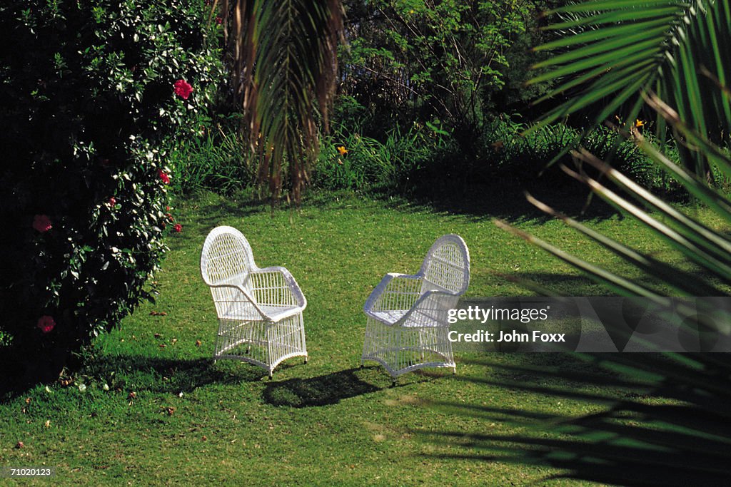 Garden with two chairs