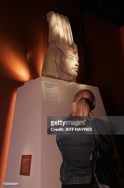 Chicago, UNITED STATES: A member of the media looks over the "Head of Colossal Statue of Amenhotep IV" on display at the opening for "Uncover the...