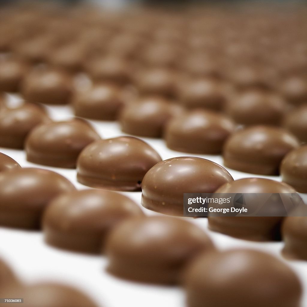 Rows of chocolate biscuits
